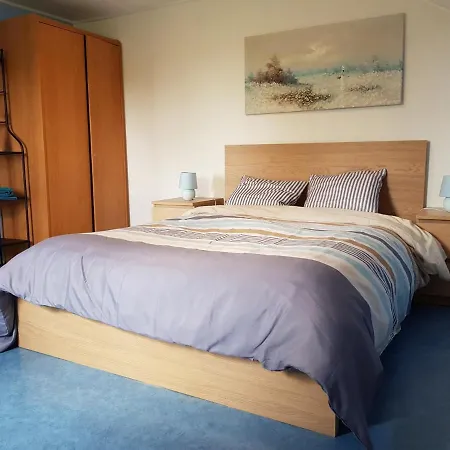 Les Glycines 度假居 Gouvy