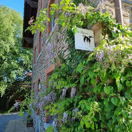 Les Glycines Gouvy